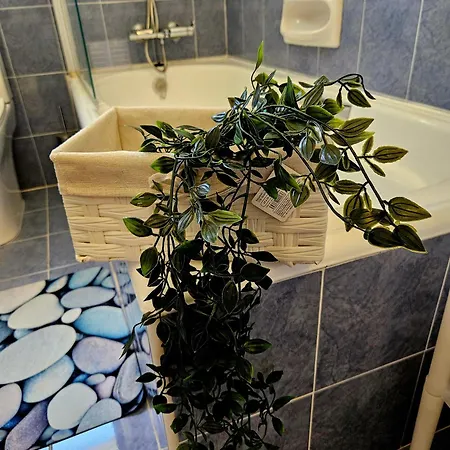 Sunflower - 3 Bedroom Spacious Apartment,