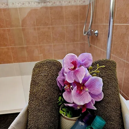 Sunflower - 3 Bedroom Spacious Apartment, 아파트 페이야