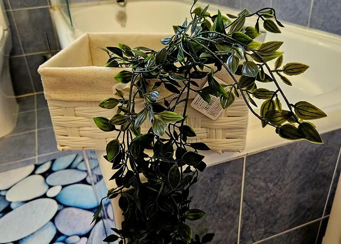 Sunflower - 3 Bedroom Spacious Apartment,